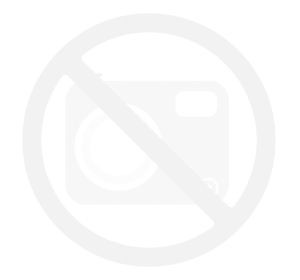 Lenovo Laptop ThinkBook 14 G2 20VD0009PB W10Pro i3-1115G4 8GB 256GB 14.0 FHD 1YR CI