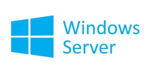Microsoft OEM Win Svr CAL 2022 ENG User 1Clt   R18-06448