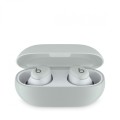 Apple Słuchawki Beats Solo Buds burzowa chmura